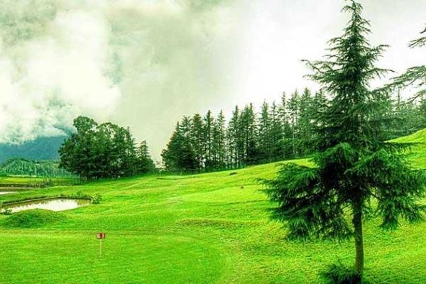 Explore Shimla With Naldehra 