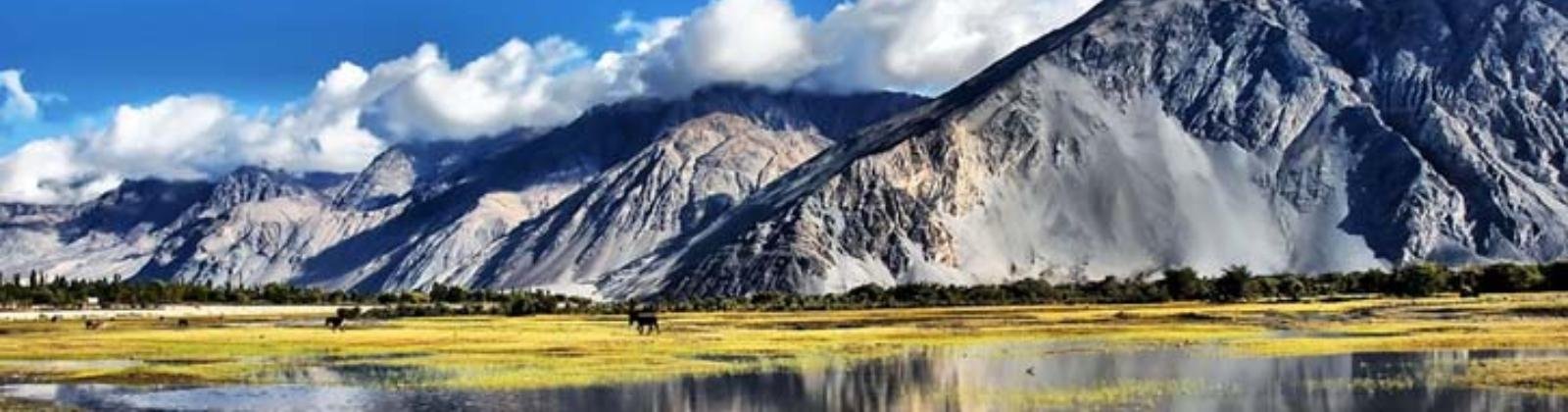 Nubra Valley 